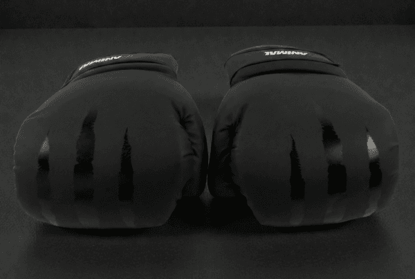 Predator Series black accent 14oz boxing gloves shown from the knuckle front angle.