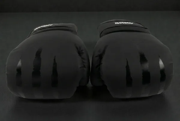 Predator Series black accent 14oz boxing gloves shown from the knuckle front angle.