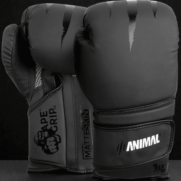Predator Series black accent 14oz boxing gloves shown upright displaying front and palm profiles.