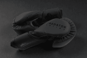 Predator Series black accent 14oz boxing gloves shown in an overhead pair arrangement.