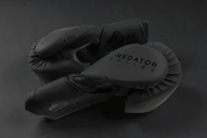 Predator Series black accent 14oz boxing gloves shown in an overhead pair arrangement.