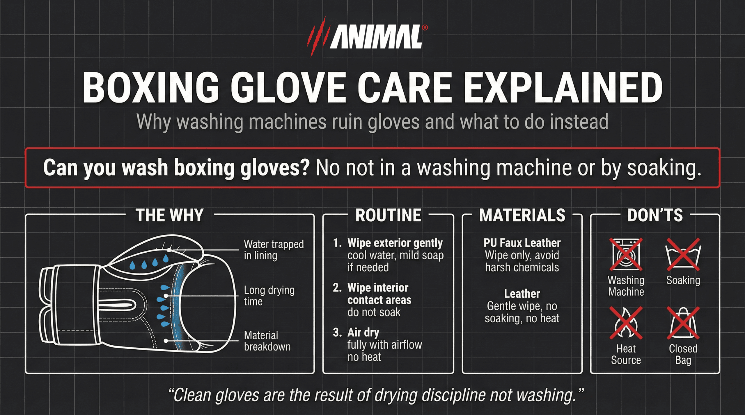 Boxing glove care infographic showing how to clean gloves without washing